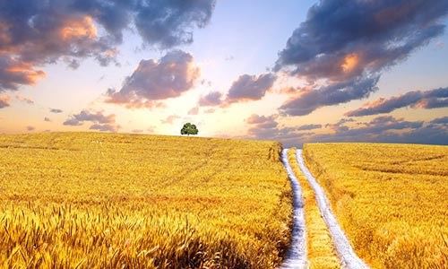 什么叫法师、律师、禅师？何人能称为法师？