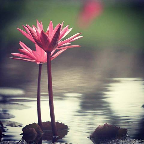 心灵有家生命才有路