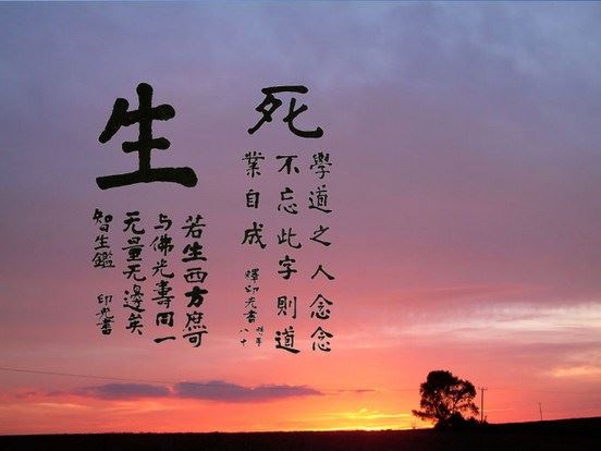 七种不退转之法分别指的是什么?