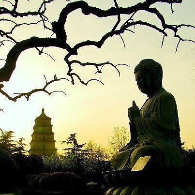 装病的狮子与狡猾的狐狸