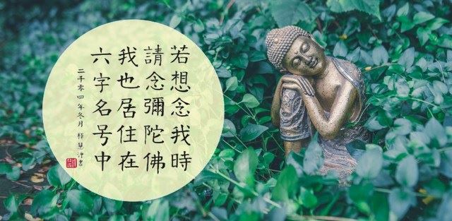 星云大师：每天面对很多问题八条原则如法处理
