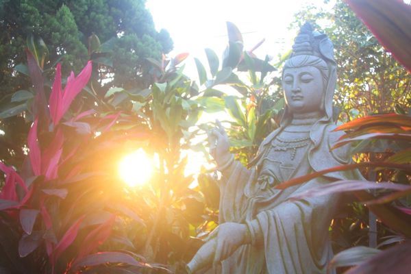学佛千万不要求神通