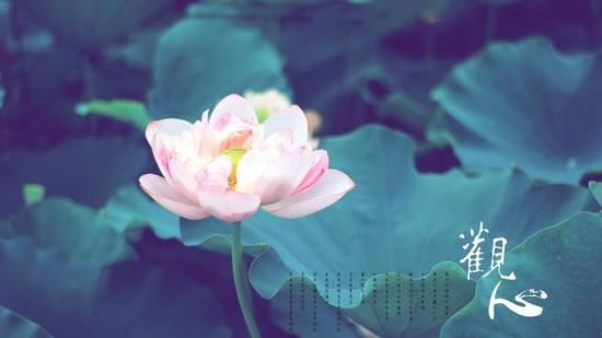 放下心中的“累”