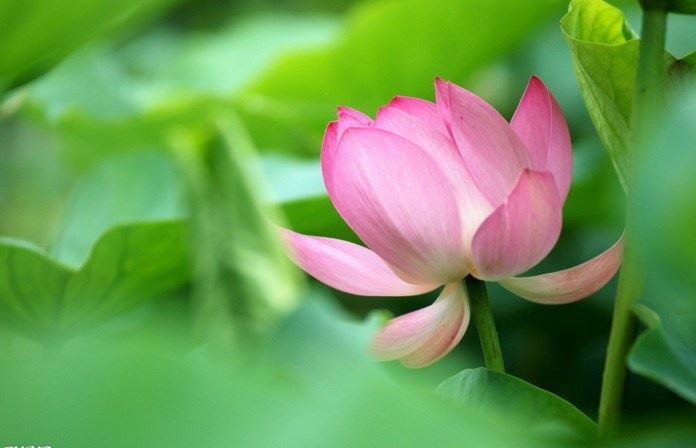 你的“福气”都被它吸走了，难道还不打算丢弃它？