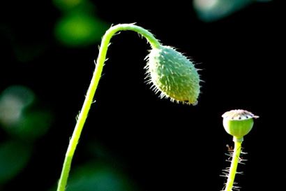 佛教对般若含义的解释和般若的分类