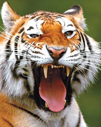 佛教中的称谓都有哪些