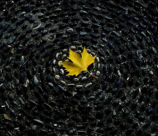 大安法师：念佛人首先要把人做好！