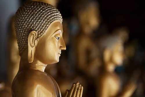 现在不造恶业，则当来不受苦报