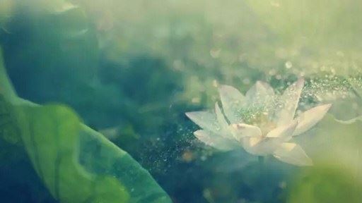 学会正确上香的方法才能有求必应