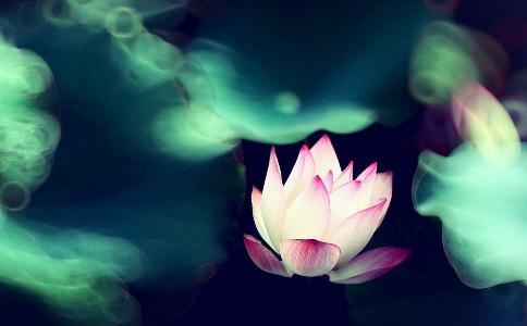 长期吃素如何吃出好气色？吃素功德秘籍在此