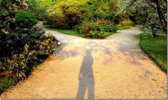 佛友们修缮庙宇究竟有何具体功德？