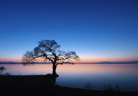你身边的人都如此发达，你却还在邪淫？