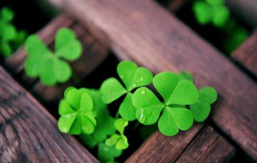 为什么佛教产生于古印度，却成为了中国宗教？