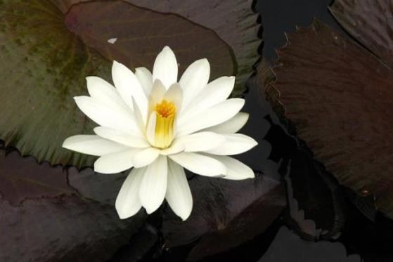 财富应该如何获得