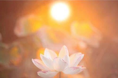 禅修是最好的运动