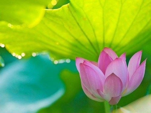 《离幸福很近》--什么是密宗？