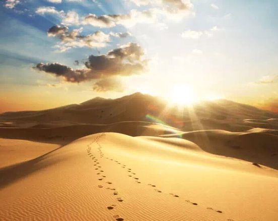 圣空法师开示：修行不一定要出家，但一定要掌握这个方法