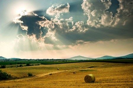 为什么道理都懂却做不到？归根到底一句话就是福报不够