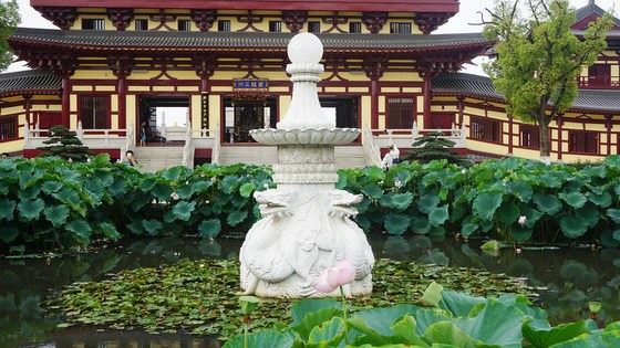 索达吉堪布：修持佛法需要真实地下工夫，不断精进