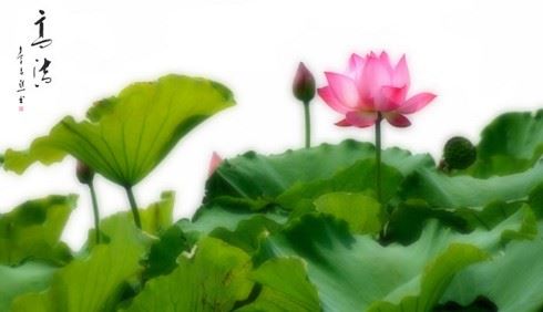 人在死亡时有几种心态？