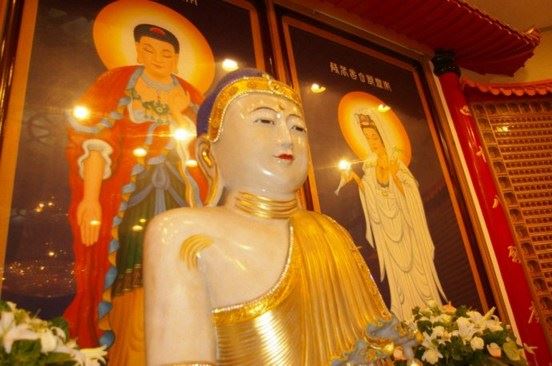 喜庆吉日，应戒杀放生