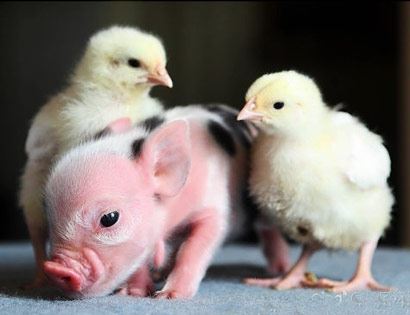 学佛后家庭生活的彻底改变~