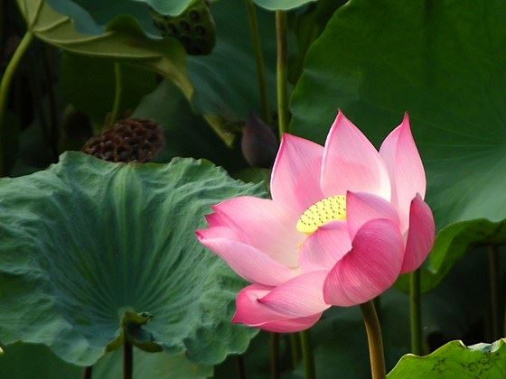 佛门之佛教的法事活动有哪些？