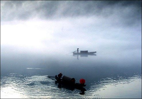 佛教生态的智慧和其他智慧的区分