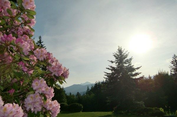 初入佛门的佛弟子请注意了，佛教中本没有这些禁忌！