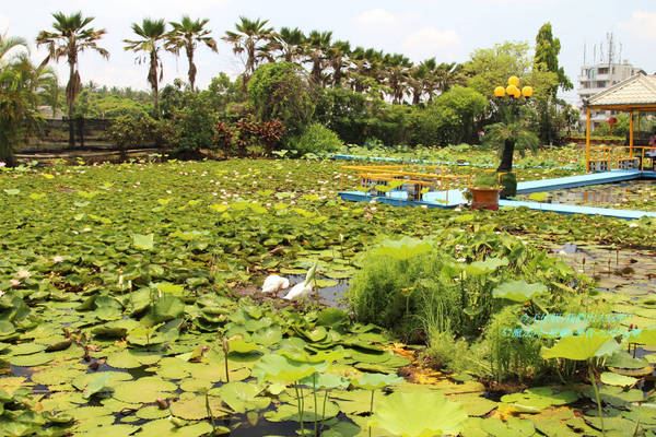 佛寺出家人的挂单规矩