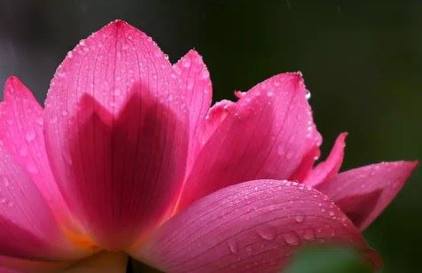 珍惜我们生命当中的提婆达多