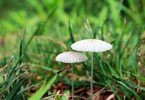 极乐世界不可思议