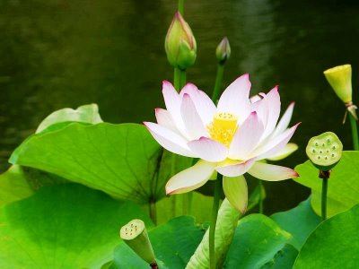 丢了财富也证不到圣果