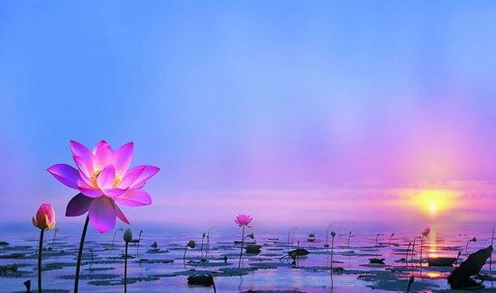 沉静的力量是什么样的