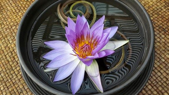 修行学佛之四大法宝