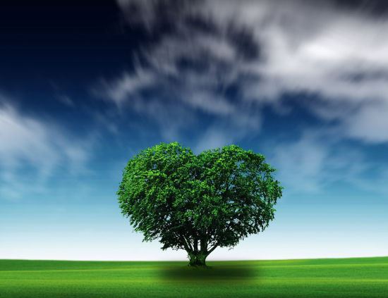 佛学有很多道理跟鸡汤文差不多，差不多到底是差多少呢？