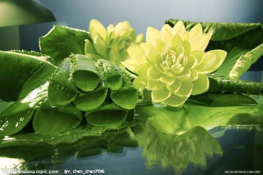 亲身经历：我在五台山看到了佛菩萨