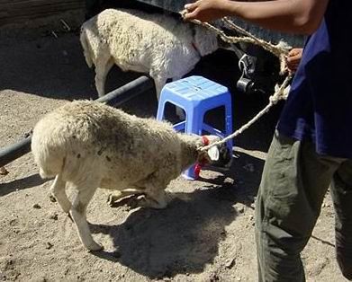 能布施给亲人友人，功德更是无量