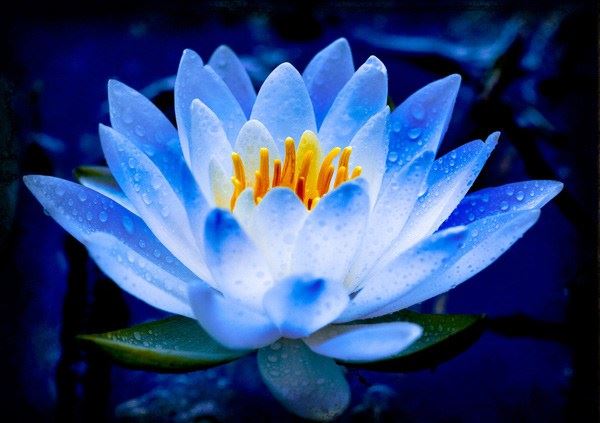 因果报应的分类