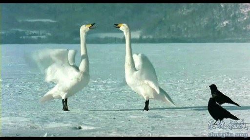 佛教对生老病死的看法?
