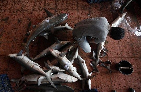 感悟人生，从生到生的轮回