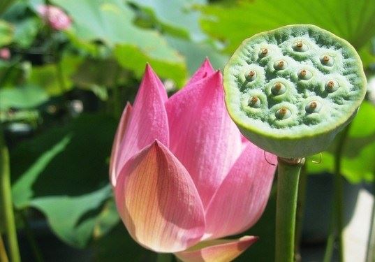 无常每个人都有的害怕也害怕不掉