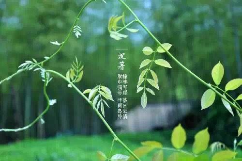 持戒行善，去往天堂