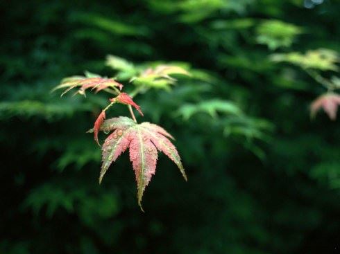 什么时候可以享福？看法师怎么说