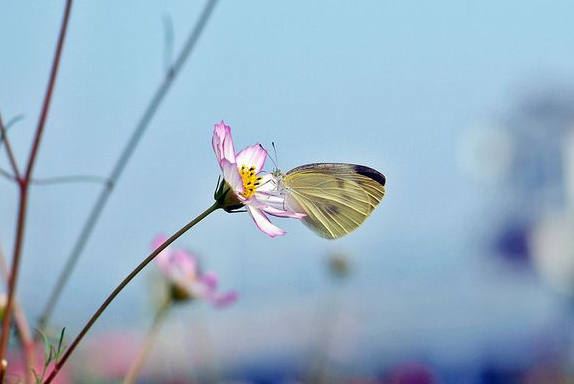 因缘而聚，因情而暖，因不珍惜而散