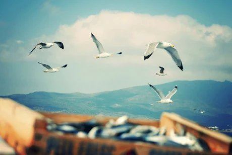 在家学佛有禁忌吗？