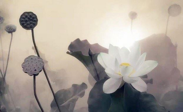 一念相应与何法界相应？