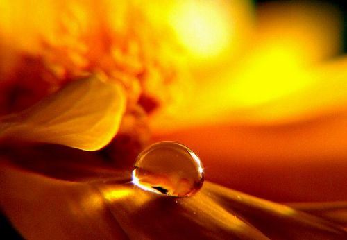 做个有境界的在家修行人