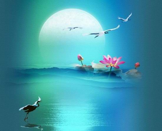 佛教我们“放下”，不是叫你什么都不干了