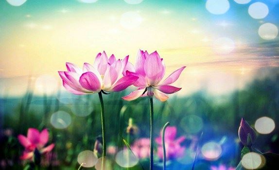 微笑人生最美丽